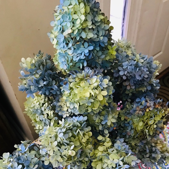 Dried Pee Gee hydrangeas - Picture 3 of 5